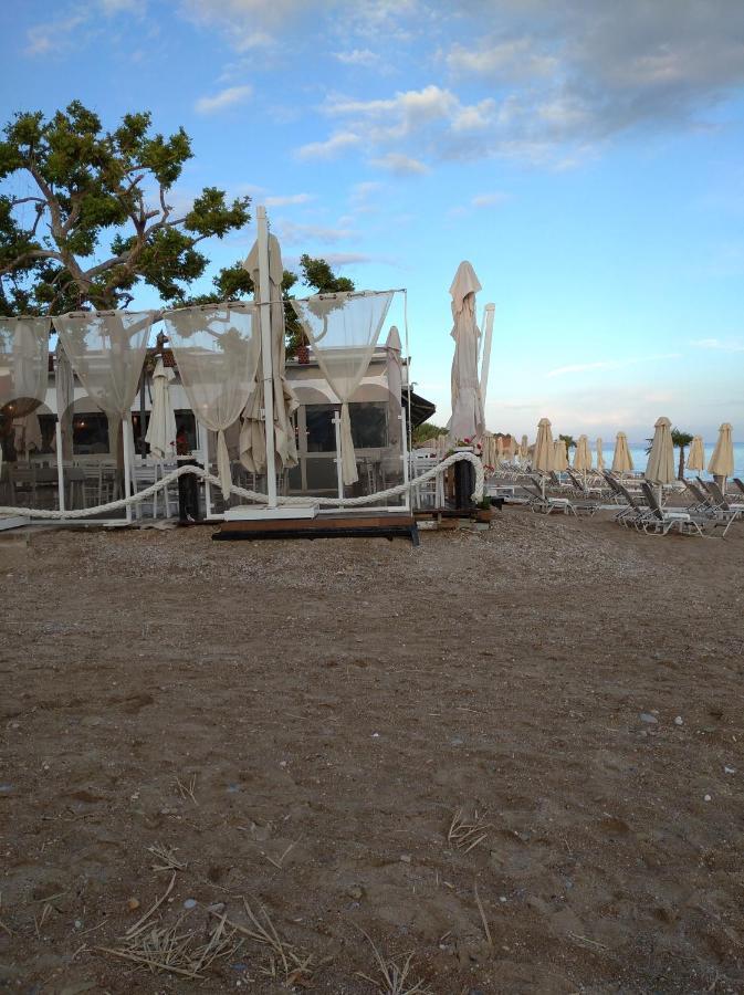 Hili Resort Luxurious Seaside Apartment أليكسانثيربوليس المظهر الخارجي الصورة