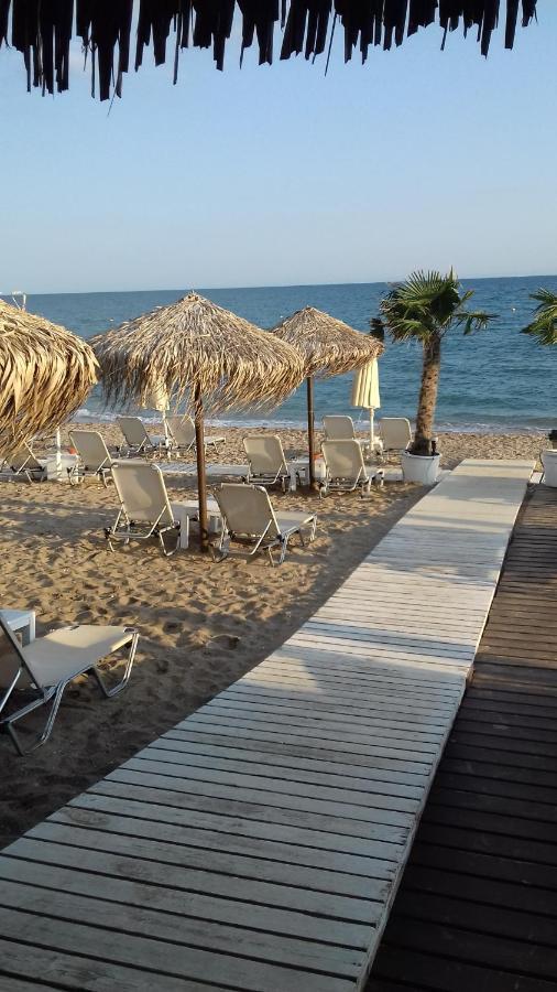Hili Resort Luxurious Seaside Apartment أليكسانثيربوليس المظهر الخارجي الصورة